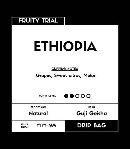 Ethiopia | Guji Geisha | Natural | Coffee Beans Drip Bag