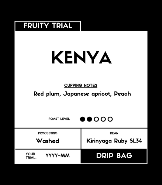 Kenya | Ruby SL34 | Washed | Coffee Beans Drip Bag