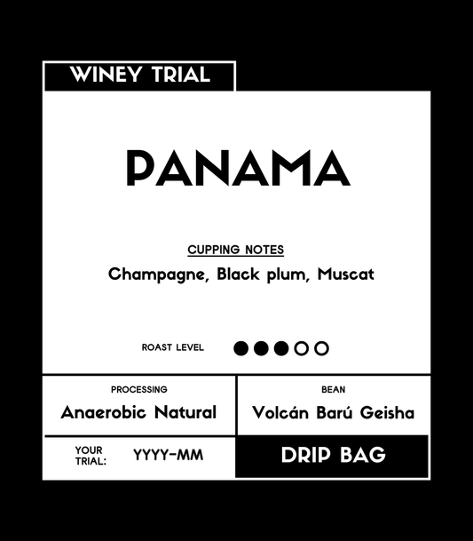 Panama | Geisha SHB | Anaerobic Natural | Coffee Beans Drip Bag
